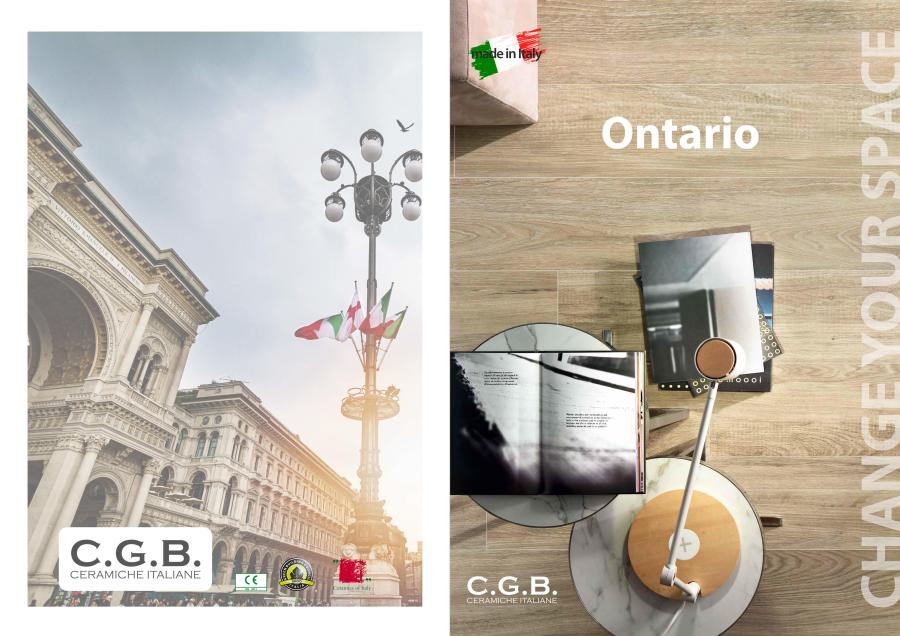 Italy Ontario wood pattern tiles.jpg